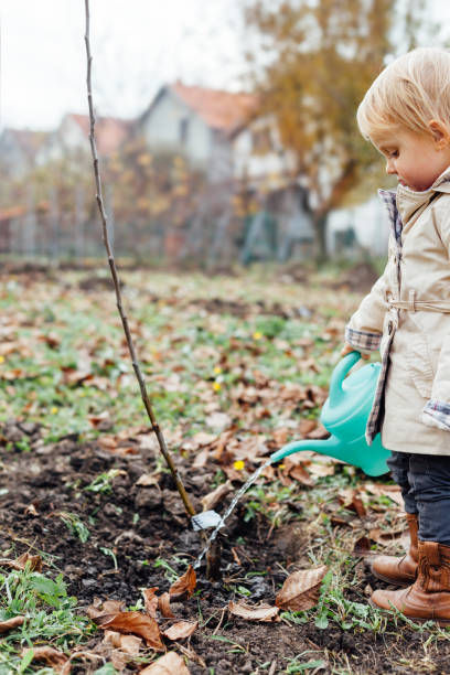 istock Little girl watering planted seedling 1449794125