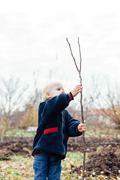 istock Little boy holding new seedling 1449794136
