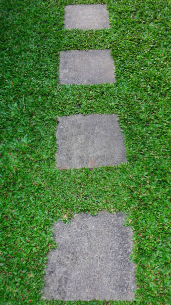 istock Concrete square shape stepping stone pathway laying on the grass at garden or park. 1449796405
