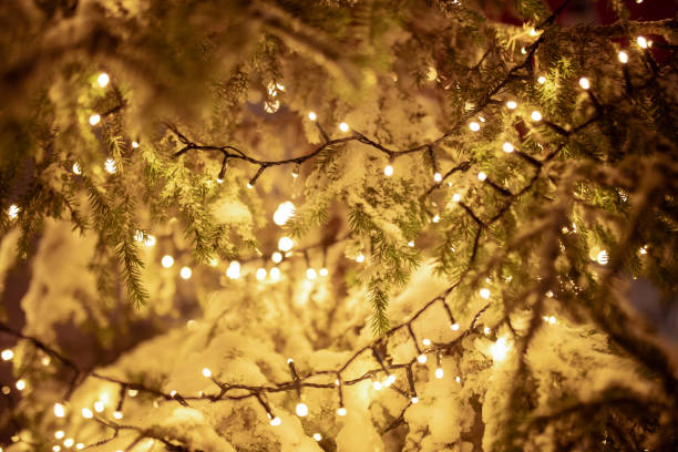 New Year's magic! Illuminated Christmas tree stock photo