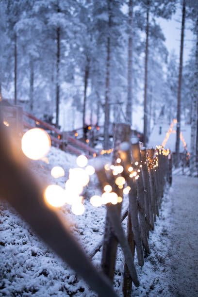 istock Bridge decorated with New Year's lights 1449800467
