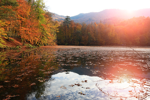 Jordan Pond in Fall, Acadia National Park, Maine, USA