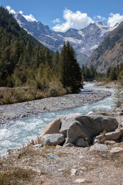 istock Vertical shot of a mountain stream on a sunny summer day 1449812018