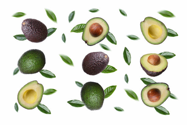 istock Avocado with leaves. Isolated on white background. 1449816183