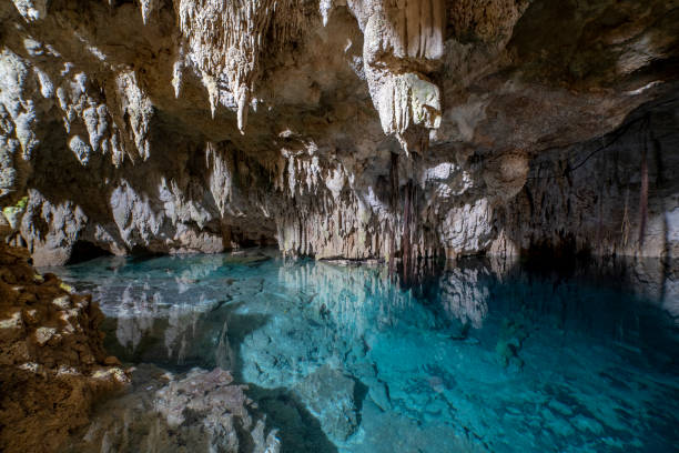 istock Mexican Cenote, Jukatan penisula, Zapote 1449817907