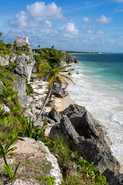 istock Mayan Ruins of Tulum, Mexico 1449818094