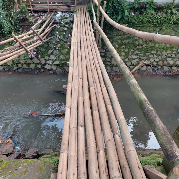 istock Bamboo bridge over the river with clear water 1449818223