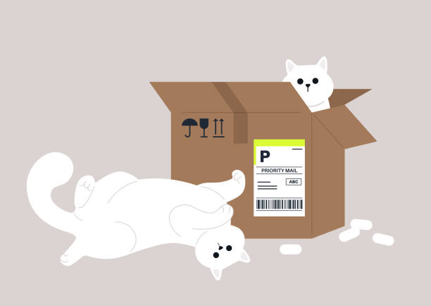 재미있는 고양이는 소포 골판지 상자에 누워 배달 서비스를 제공합니다. - cat box stock illustrations