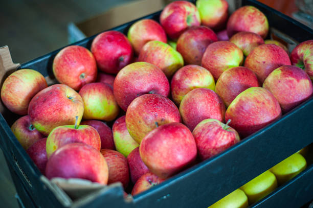 istock Green apple Raw fruit and vegetable backgrounds overhead perspective, part of a set collection of healthy organic fresh produce 1449824090