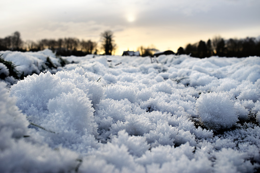 Snow crystals form into balls of protruding shards of ice in a field of grass. The sunrise view leads up to a farmhouse cottage and barn sitting on the tree lined horizon on an overcast winter day.