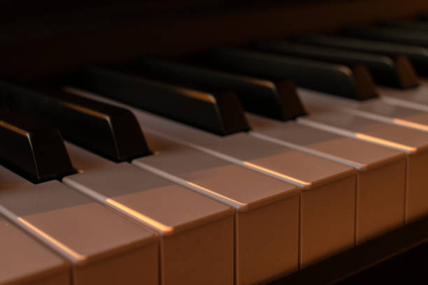 istock Close-up on an electronic keyboard on sunset. Concept of composing and learning music. 1449827812