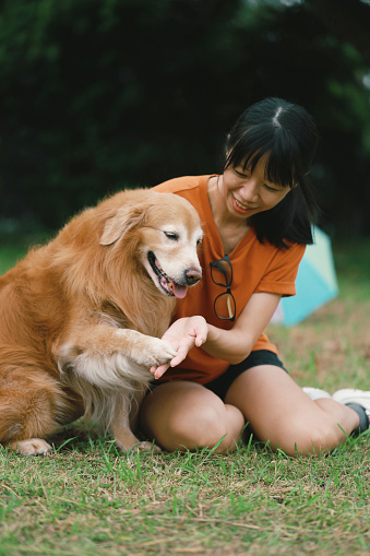 Asian woman enjoying in the dog park with her Golden retriever