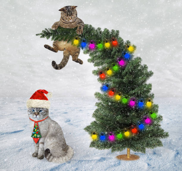 istock at on top of Christmas tree 1449831088