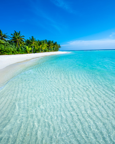 Maldives Tropical Islands