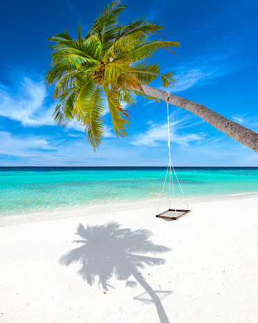 Isla de Maldivas photo