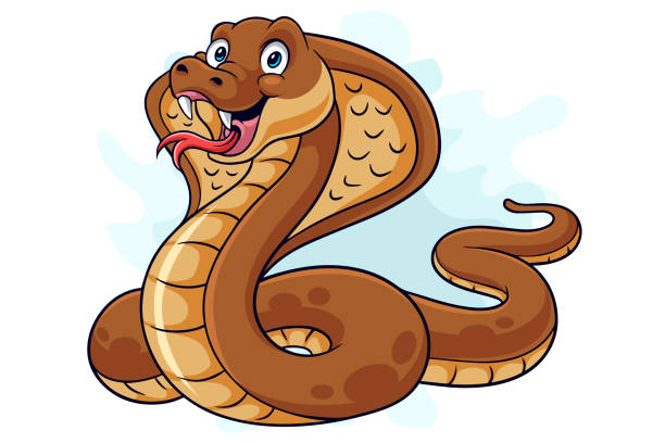 ilustrações, clipart, desenhos animados e ícones de cobra do rei engraçado da cobra do rei dos desenhos animados isolado no fundo branco - 3690