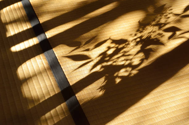 istock Shadow on the Tatami Mat 1449836205