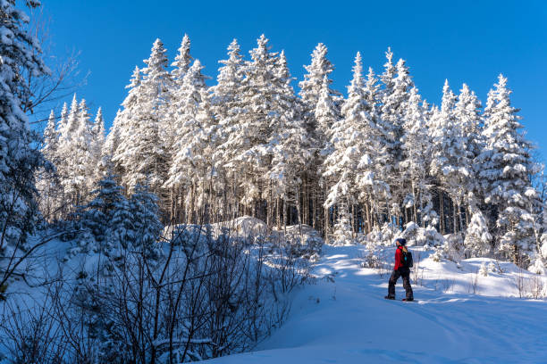 A woman snowshoeing on a mountain trail during a sunny day of winter near Lac-Beauport in Quebec.