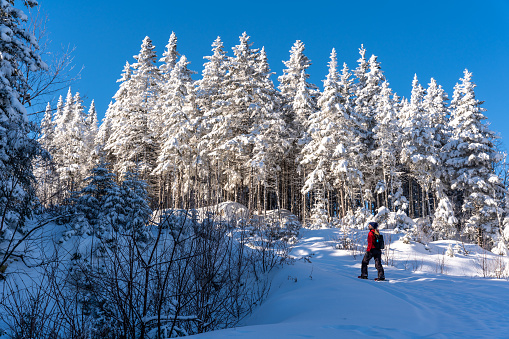 A woman snowshoeing on a mountain trail during a sunny day of winter near Lac-Beauport in Quebec.