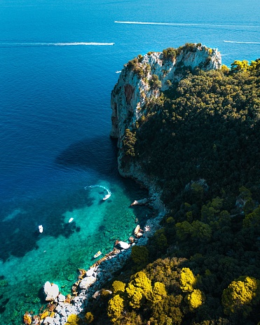 A vertical aerial shot of a cliff and tropical trees in front od a blue sea in Capri, Italy