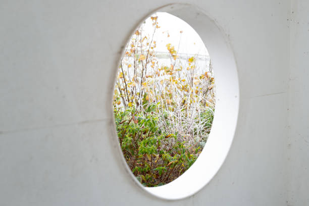 Abstract view of an outdoor wall with a large hole with a view to frost plants in a private garden.