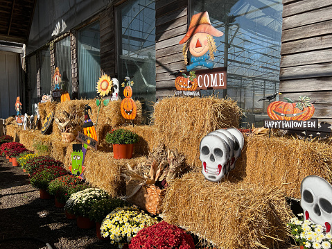 Worcester, USA - October 15, 2022. Flowers and merchandise on display for sale at O & F Farms, Worcester, Pennsylvania, USA