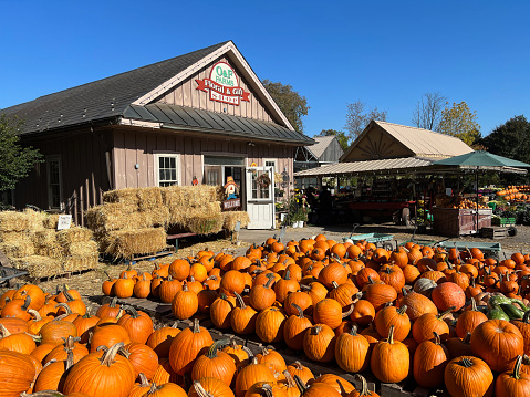 Worcester, USA - October 15, 2022. Punpkins and grocery stand at O & F Farms, Worcester, Pennsylvania, USA