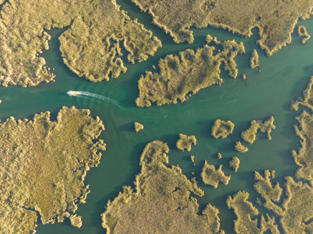 Daily tour boat on Dalyan delta in Muğla, Türkiye. Taken via drone.