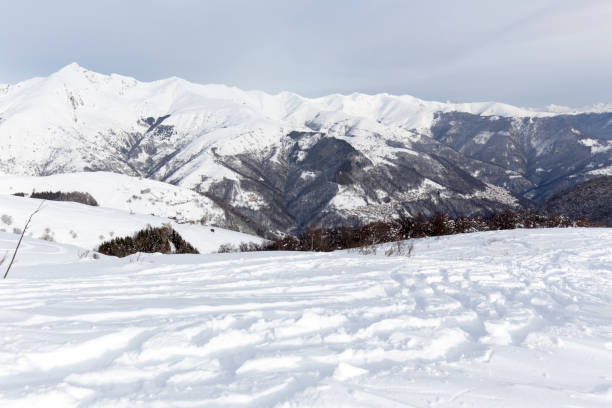 istock View of a snowshoes trail 1449843153