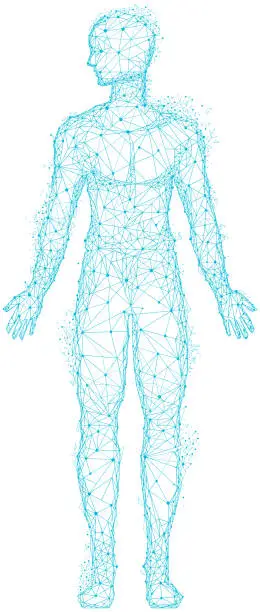 Vector illustration of Polygonal human body with head and limbs. Geometric outline of man made of blue lines and dots