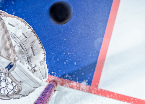 Looking down on an ice hockey goalie’s glove in front of the goal net about to make the save by catching the puck, with the blue goal crease in the background.