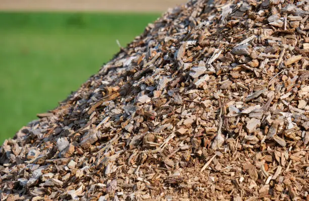 Photo of Side view of a huge pile of freshly chopped wood chips with green blurred background