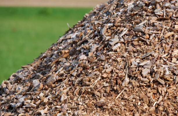 widok z boku ogromnego stosu świeżo posiekanych wiórów drzewnych z zielonym rozmytym tłem - wood pellet zdjęcia i obrazy z banku zdjęć