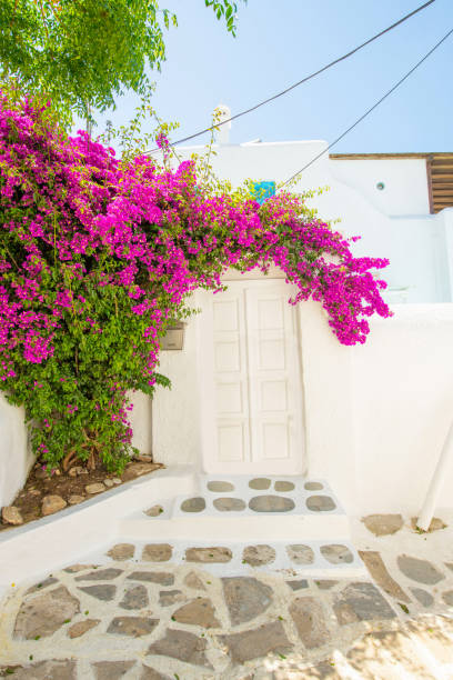 istock Mykonos Island Travels 1449846277