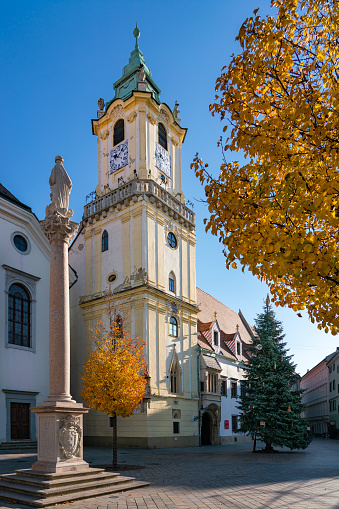 Old town hall of Bratislava with Christmas tree on Main Square, golden autumn leaves and blue sky