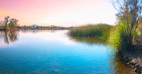 San Diego Cowles Mountain Landscape Series, Water plants and reflections on Lake Murray at sunset, Southern California, USA