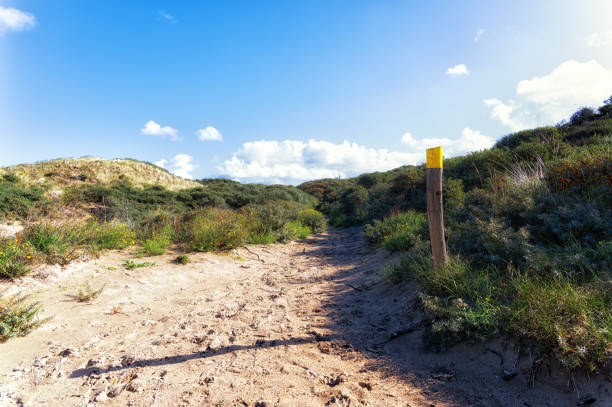 istock Zandvoort, Netherlands, Landscape with Plants 1449850124