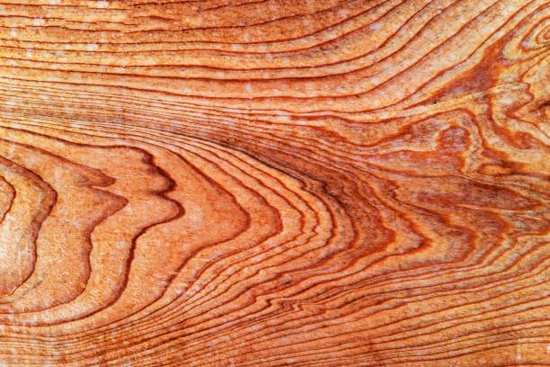 istock Beautiful wood grain. Wood background. Wood grain pattern texture background 1449850865