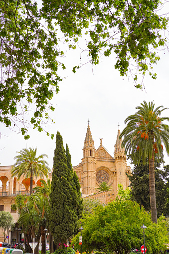 Cathedral of palma de mallorca from Passeing del Born, Spain