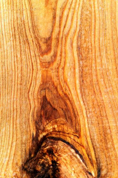 istock Beautiful wood grain. Wood background. Wood grain pattern texture background 1449851441
