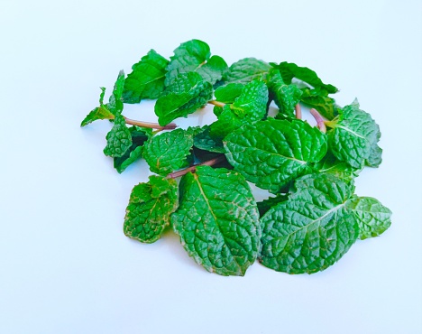 Peppermint fresh green mint leaves aromatic flavoring pudina herb vegetable food ingredient image closeup view photo