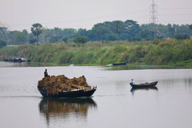 Recife, Pernambuco, Brazil: egret fishing and traditional wooden canoes on the banks of the Capibaribe River, downtown Recife.