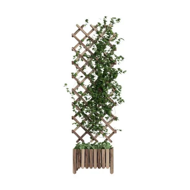 3d illustration of planter with trellis isolated on white background