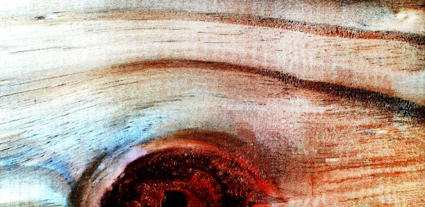 Beautiful wood grain. Wood background. Wood grain pattern texture background