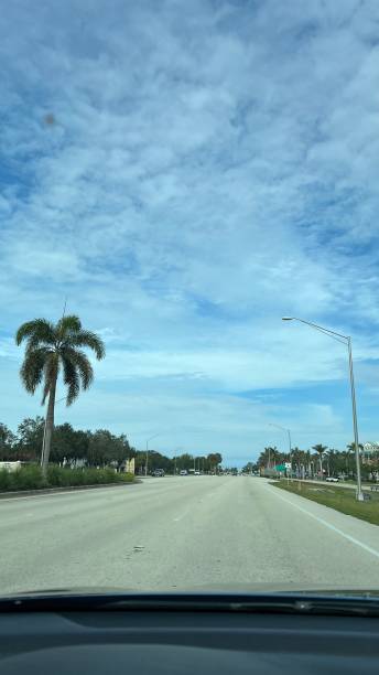 istock BEAUTIFUL WINTER MORNING IN THE SUNSHINE STATE 1449863238