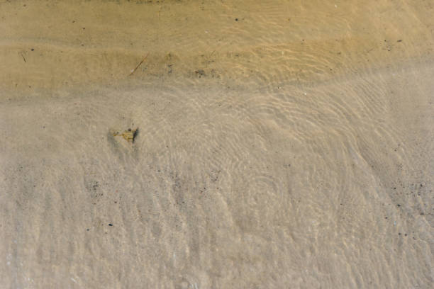 Glare on the surface of the water are refracted and create a beautiful pattern on the bottom of the lake or river or sea