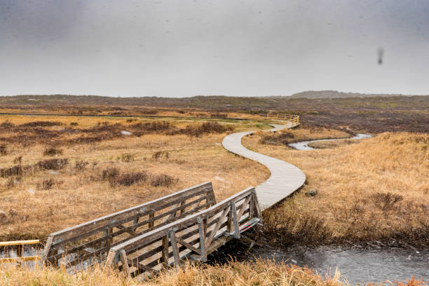 Newfoundland, Canada.
