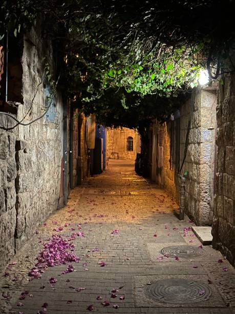 istock Jerusalem street with flourishing trees 1449870455