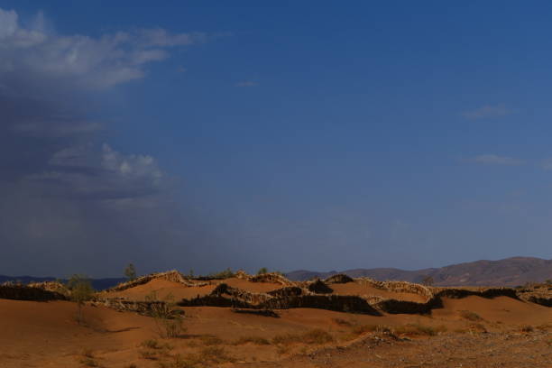 istock Dune protections, around khattara of Fezna 1449874545