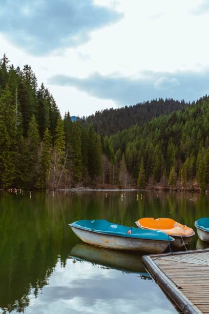 istock Small canoe boats docked on a small lake surrounded by the dense green forest 1449878476